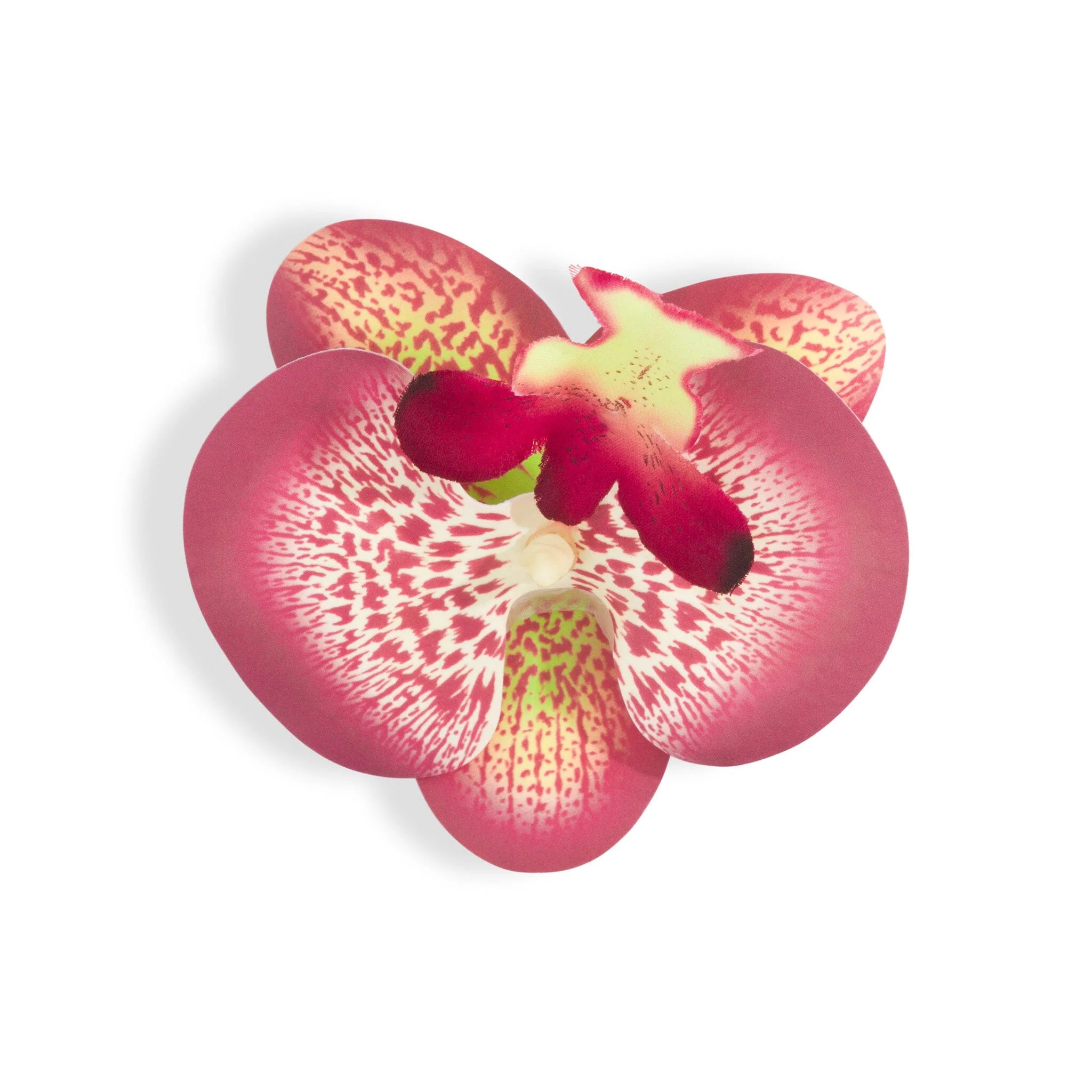 ORCHID FLOWER BURGUNDY - Image 2