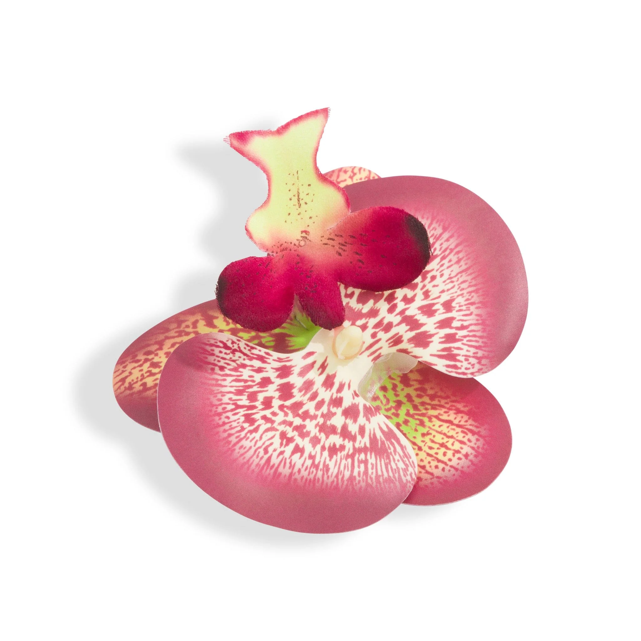 ORCHID FLOWER BURGUNDY - Image 3