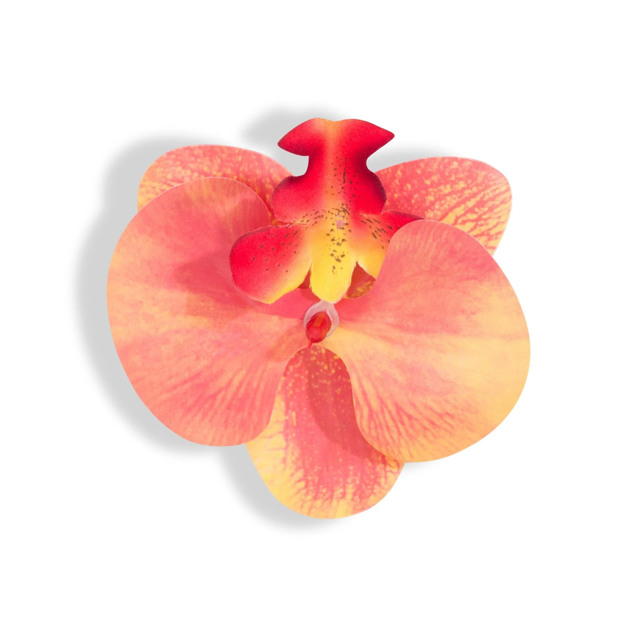 ORCHID FLOWER PEACH - Image 3