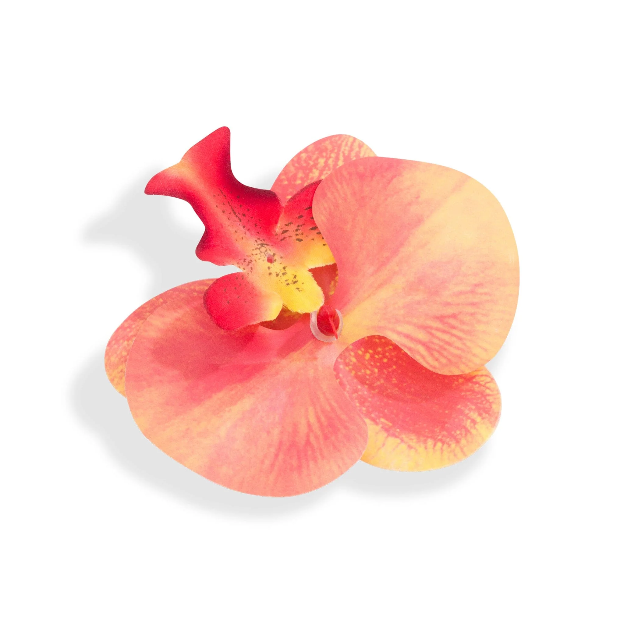 ORCHID FLOWER PEACH - Image 7